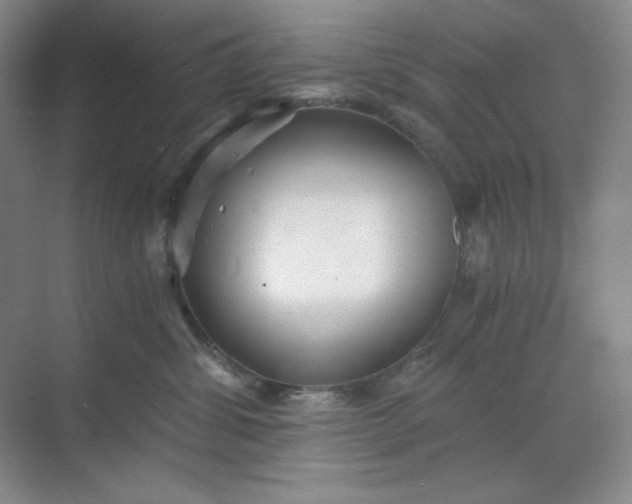 X0000068810428200605191812