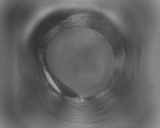 X0000068810431200605191812