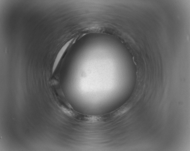X0000068810432200605191812