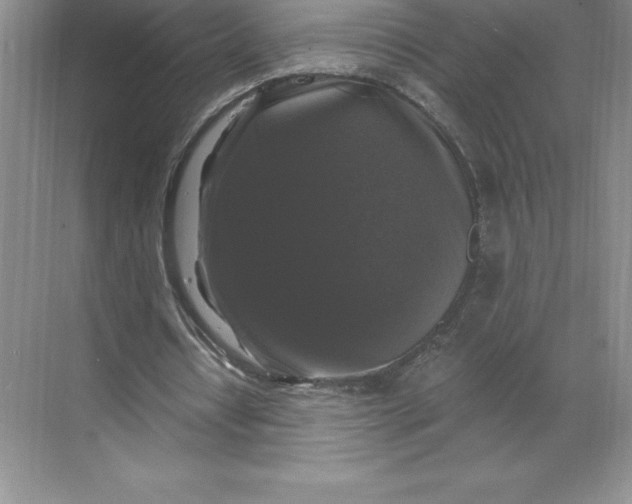 X0000068810434200605191811