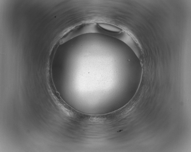 X0000068810437200605191811