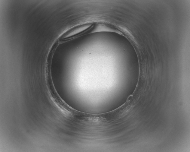 X0000068810439200605191811