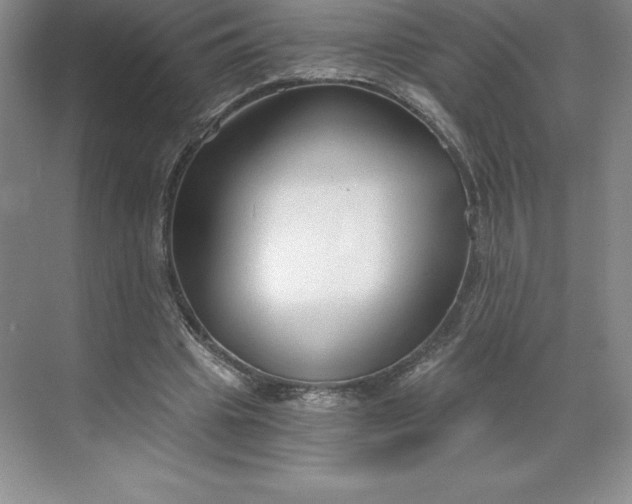 X0000068810441200605191811