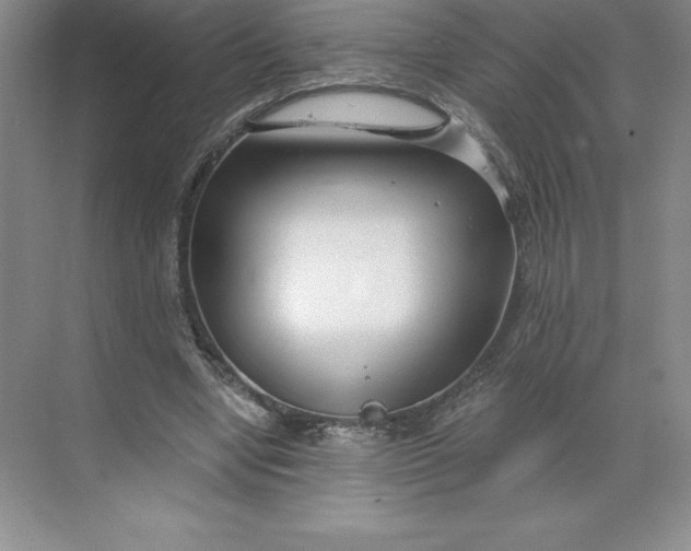 X0000068810442200605191811
