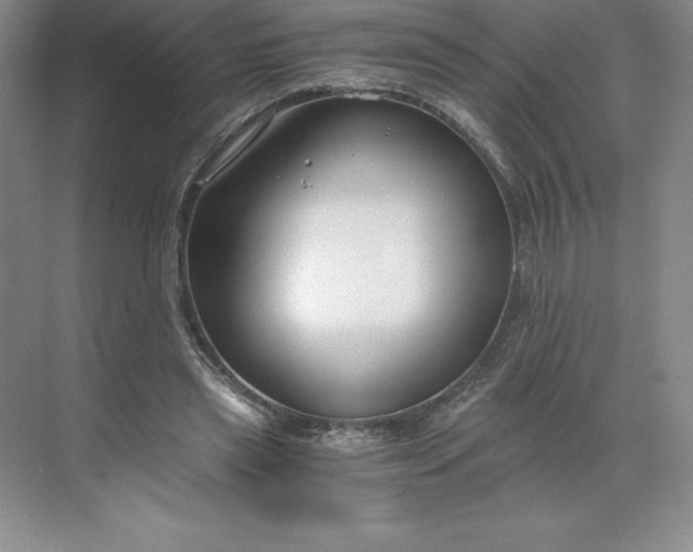 X0000068810445200605191811