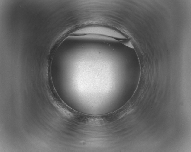 X0000068810446200605191811