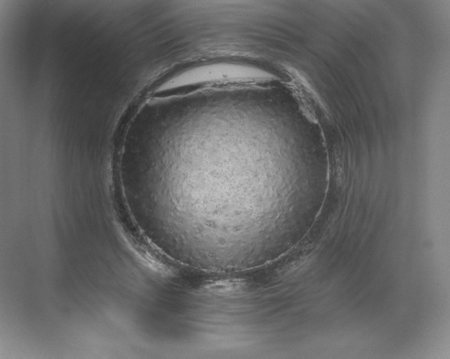 X0000068810447200605191811