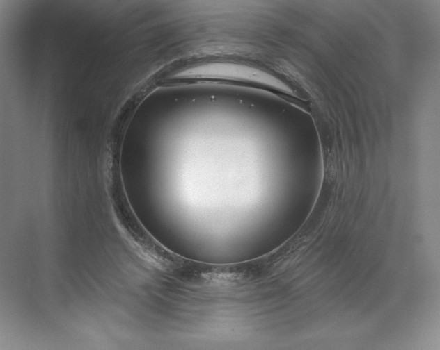 X0000068810448200605191811