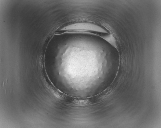 X0000068810449200605191811