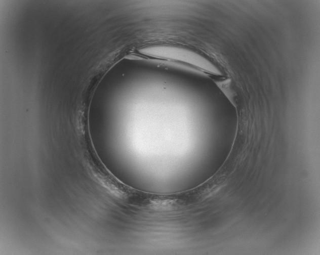 X0000068810450200605191811
