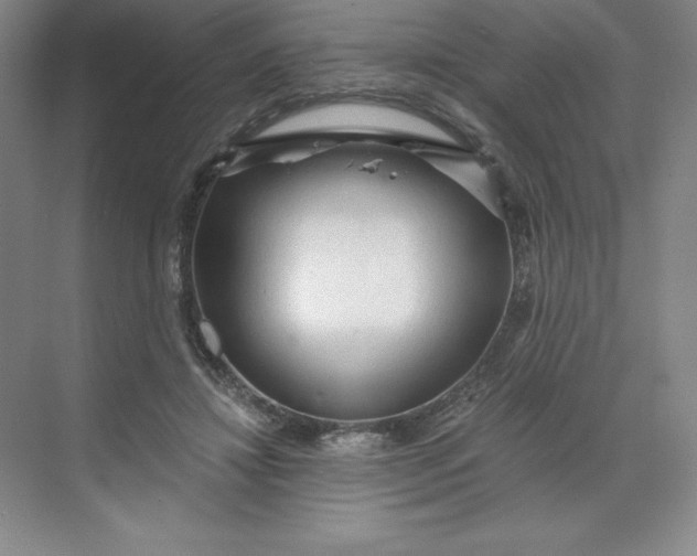 X0000068810452200605191811