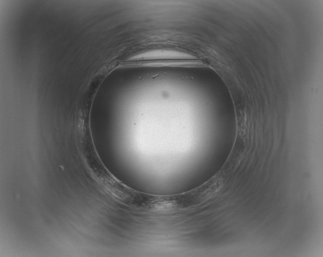 X0000068810456200605191811