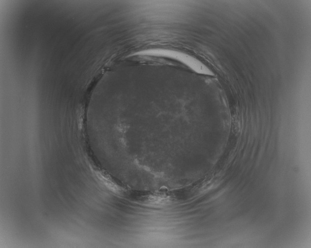 X0000068810458200605191811