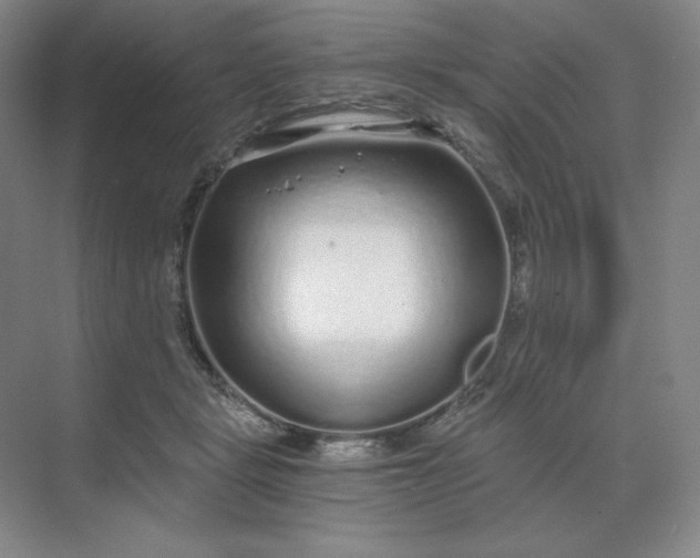 X0000068810461200605191811