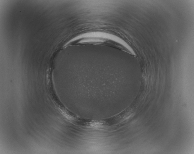 X0000068810462200605191811