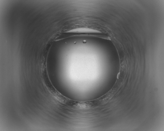 X0000068810464200605191811