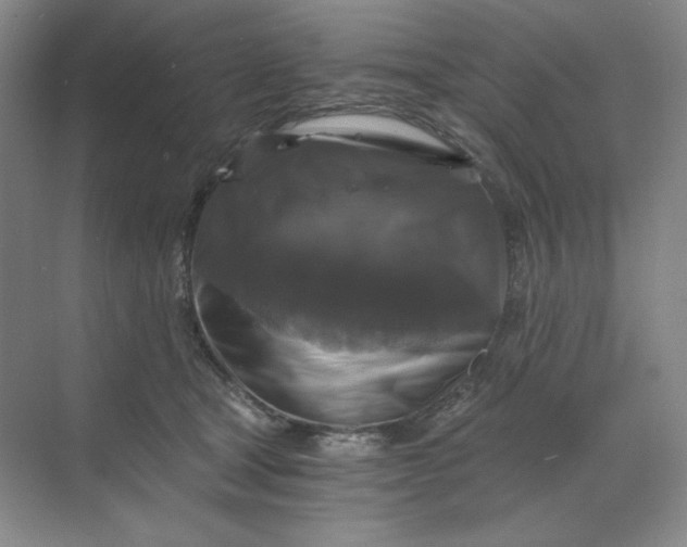 X0000068810465200605191811