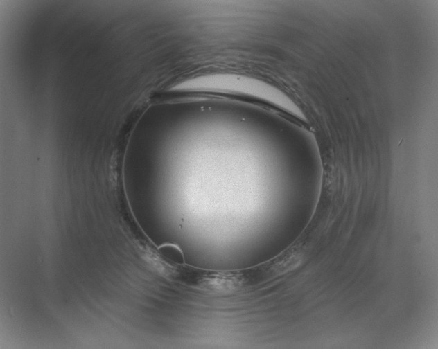 X0000068810466200605191811