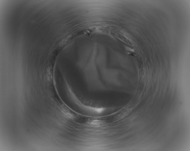 X0000068810467200605191811