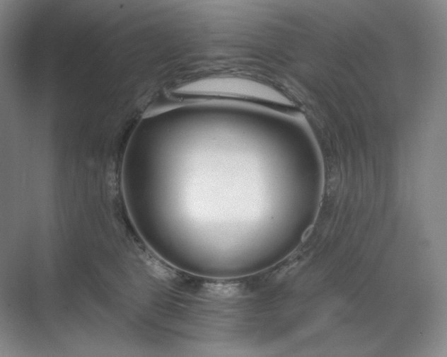 X0000068810469200605191812