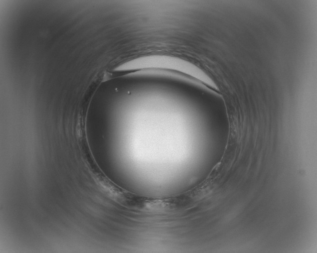 X0000068810470200605191812