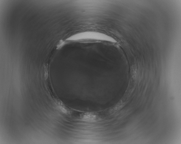 X0000068810471200605191812