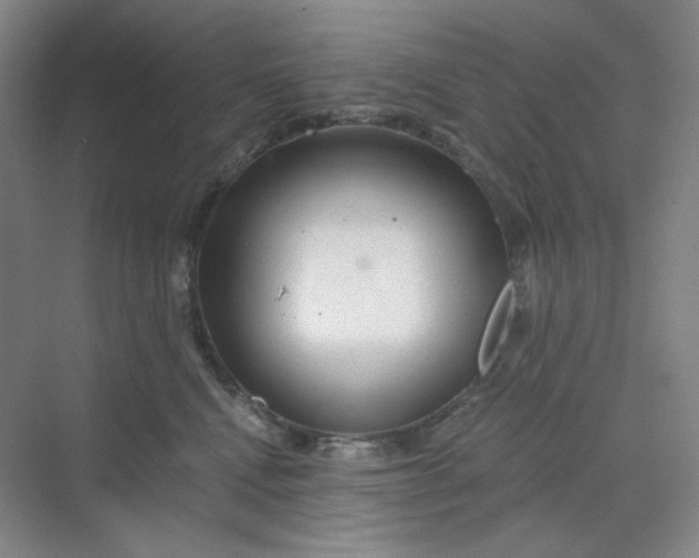 X0000068810472200605191812