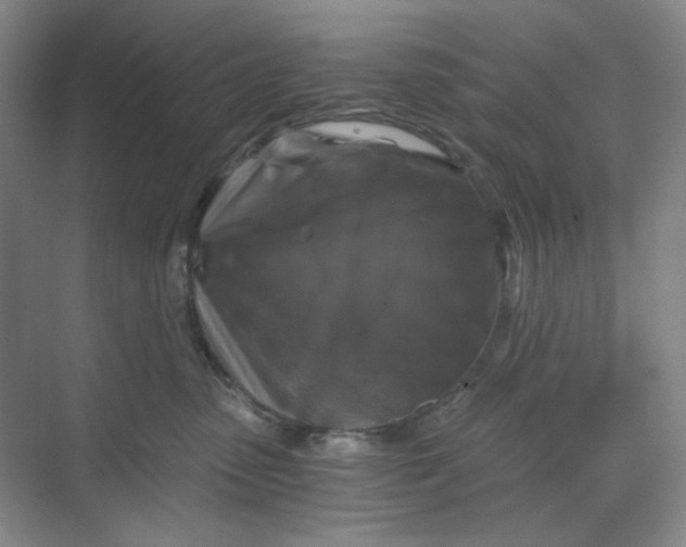 X0000068810475200605191812