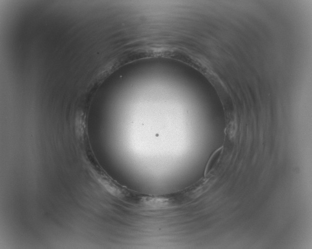 X0000068810476200605191812