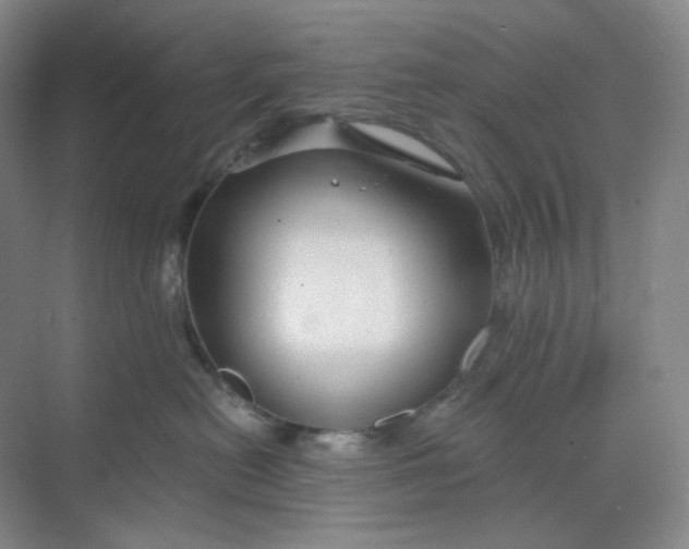 X0000068810478200605191812