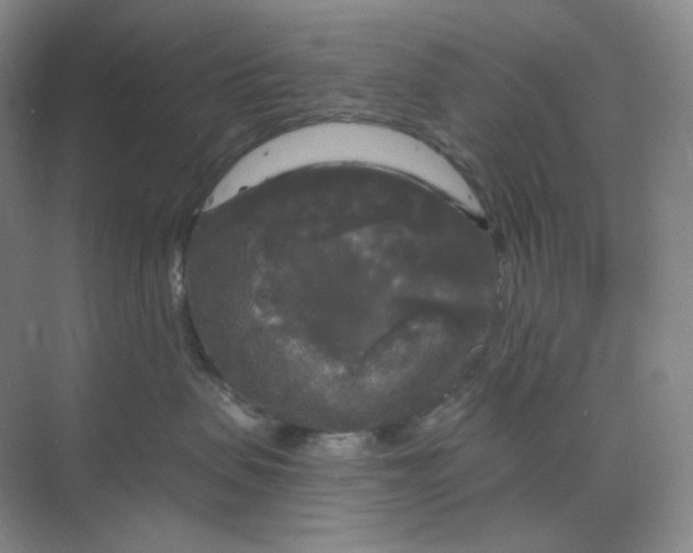 X0000068810479200605191812