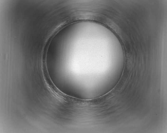 X0000068810482200605191811