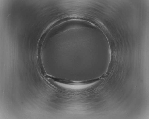 X0000068810484200605191811