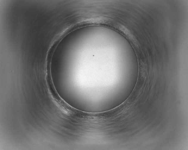 X0000068810486200605191811