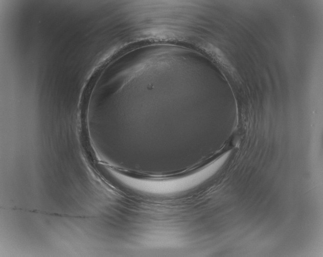 X0000068810488200605191811