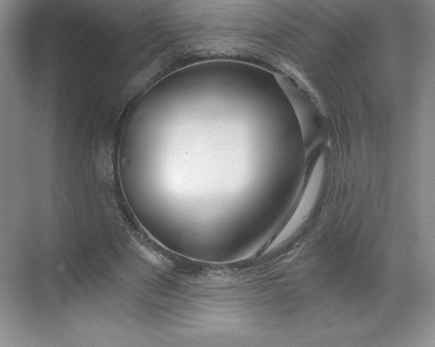 X0000068810489200605191811