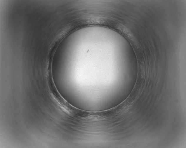 X0000068810490200605191811