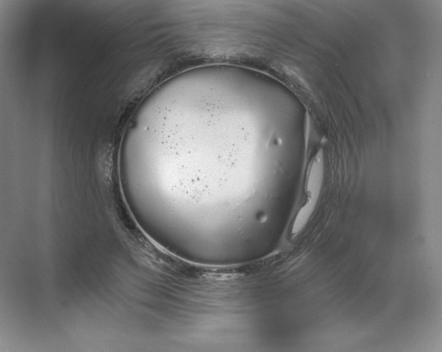 X0000068810495200605191811