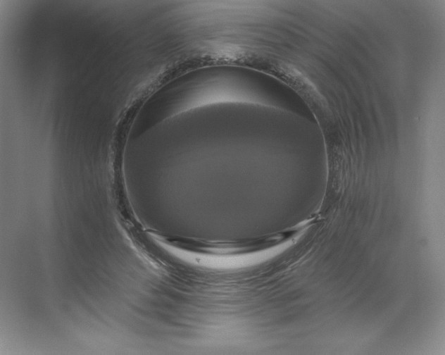 X0000068810496200605191811