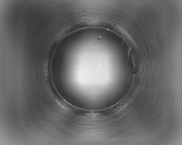 X0000068810497200605191811