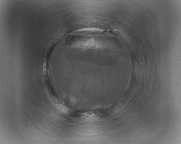 X0000068810502200605191811