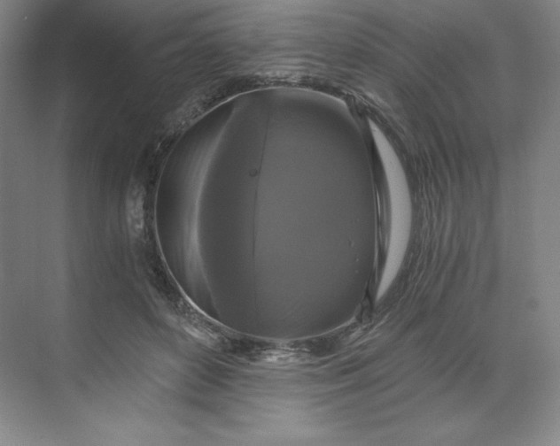 X0000068810504200605191810
