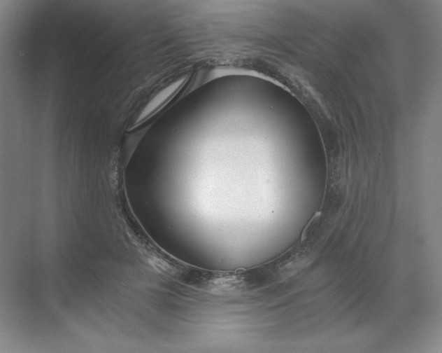 X0000068810505200605191810