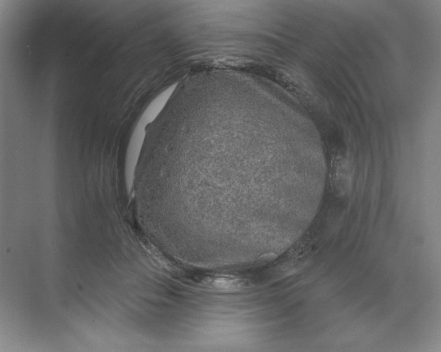 X0000068810506200605191810