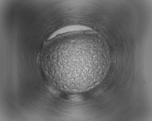 X0000068810511200605191810