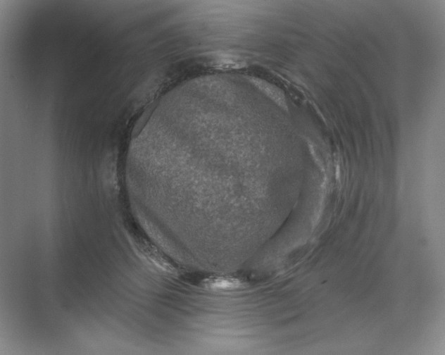 X0000068810512200605191810