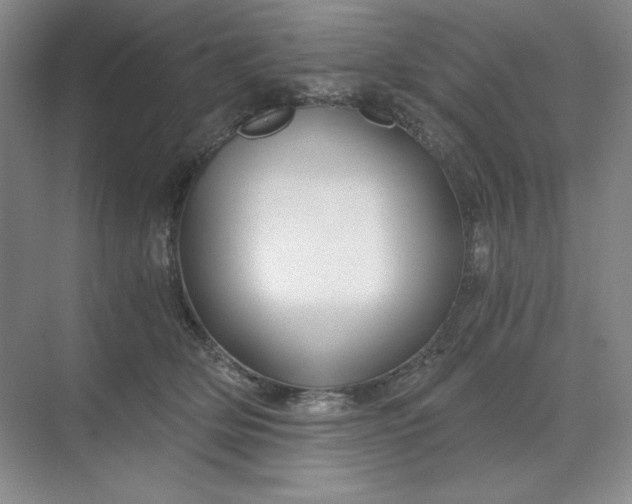 X0000068810514200605191810