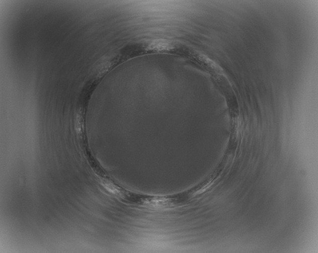 X0000068810517200605191810