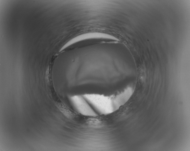 X0000068810519200605191810