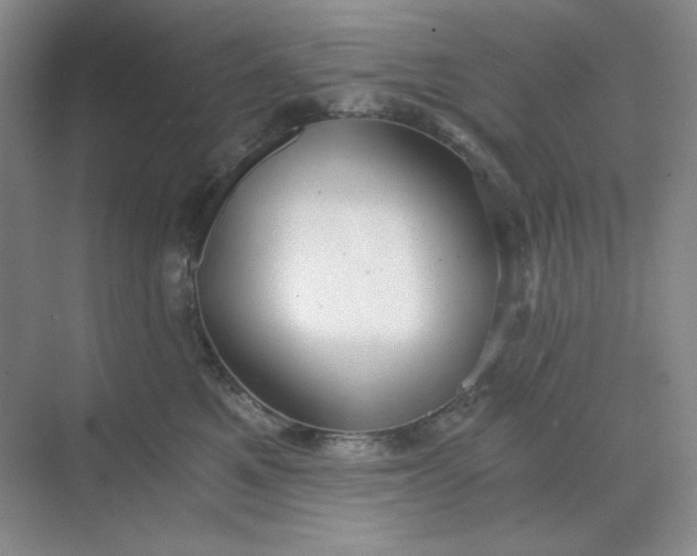 X0000068810521200605191810